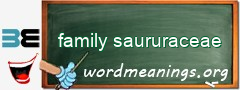 WordMeaning blackboard for family saururaceae